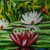 'Oju-Oro' (2021) - Signed Acrylic Flower Painting on Canvas (2021) (image 2b) thumbail