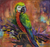 'Ayekoto' - Acrylic Parrot Painting on Canvas thumbail