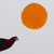 'Love Birds I' - Pintura de pájaro acrílico mate sobre cartulina