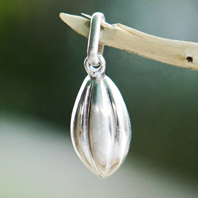 Sterling silver pendant, Cocoa Bean