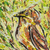 Rettet den Wildvogel (Grün). - Acryl-Vogelmalerei aus Ghana