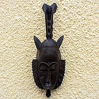 Ivoirian wood mask, 'Bird Protector' - Ivoirian wood mask