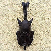 Ivoirian wood mask, 'Bird Protector' - Ivoirian wood mask