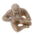 Ceramic figurine, 'Olmec Wrestler' - Ceramic figurine (image 2d) thumbail