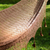 Hammock, 'Copper Filigree' (triple) - Handcrafted Solid Mayan Hammock from Mexico (Triple) (image 2b) thumbail