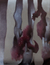 'Women Who Glide' - Mexican Artistic Nudes Expressionist Painting (image 2a) thumbail