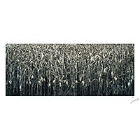 'Campo de maíz' - Fotografía montada en blanco y negro del campo de maíz mexicano