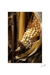 'Our Heritage' - Mexican Corn Cob Color Photograph on Foam Core thumbail