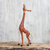 Wood figurine, 'My Curious Giraffe' - Wood Giraffe Figurine Sculpture Artisan Crafted in Mexico thumbail