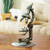 Upcycled auto part sculpture, 'Rustic Microscope' - Metal Microscope Sculpture Crafted from Recycled Auto Parts (image 2) thumbail