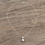 Sterling silver pendant necklace, 'Nature's Treasures' - Hand Made Sterling Silver Pendant Necklace from Mexico