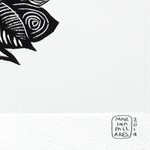 'The Birds Are In Their Place' - Limited Edition Etched Print of a Bird Cage from Mexico