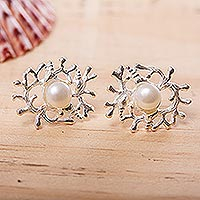 Cultured pearl drop earrings, 'Glowing Coral' - Cultured Pearl and Sterling Silver Drop Earrings from Mexico