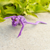 Wood alebrije sculpture, 'Ballerina Frog' - Hand-Painted Purple Frog Wood Alebrije Sculpture from Mexico thumbail