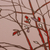 'Little Tree' (2005) - 35-Inch Mexico Tree and Landscape Silkscreen Print (image 2b) thumbail