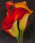 Zwei Calla-Lilien - Signiertes Ölgemälde von roten Calla-Lilien in der Dunkelheit