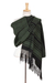 Cotton rebozo shawl, 'Evening Drama' - Green on Black Handwoven Fringed Mexican Rebozo Shawl (image 2b) thumbail