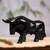 Marble sculpture, 'Dark Bull' - Marble Bull Sculpture in Black from Mexico (image 2) thumbail