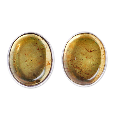 Oval Natural Amber Button Earrings from Mexico