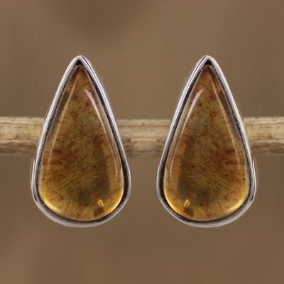 Amber stud earrings, 'Drop Complexity' - Drop-Shaped Amber Stud Earrings from Mexico