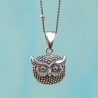Sterling silver pendant necklace, 'Single Owl' - Sterling Silver Owl Pendant Necklace from Mexico