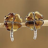 Amber button earrings, 'Ancient Luck' - Amber Four-Leaf Clover Button Earrings from Mexico