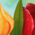 'Tulips' - Signed Painting of Tulips from Mexico (image 2b) thumbail