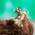 Amber wrap ring, 'Golden Wren' - Bird-Themed Wrap Ring Crafted in Mexico (image 2) thumbail