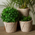 Reclaimed stone flower pots, 'Plant Stripes' (set of 3) - Spiral Pattern Reclaimed Stone Flower Pots (Set of 3) thumbail