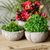 Reclaimed stone flower pots, 'Petite Fleurs' (set of 3) - Round Reclaimed Stone Flower Pots from Mexico (Set of 3) thumbail