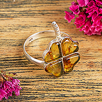 Amber cocktail ring, 'Ancient Luck' - Amber Four-Leaf Clover Cocktail Ring from Mexico