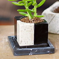 Small marble planter, 'Attractive Opposites' - Square Travertine and Black Marble Planter with Saucer