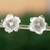 Pendientes botón plata - Pendientes de botón de plata 950 flor de gardenia