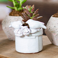 Ceramic flower pot, 'Wrens and Roses' - White Ceramic Flower Pot with Birds and Roses