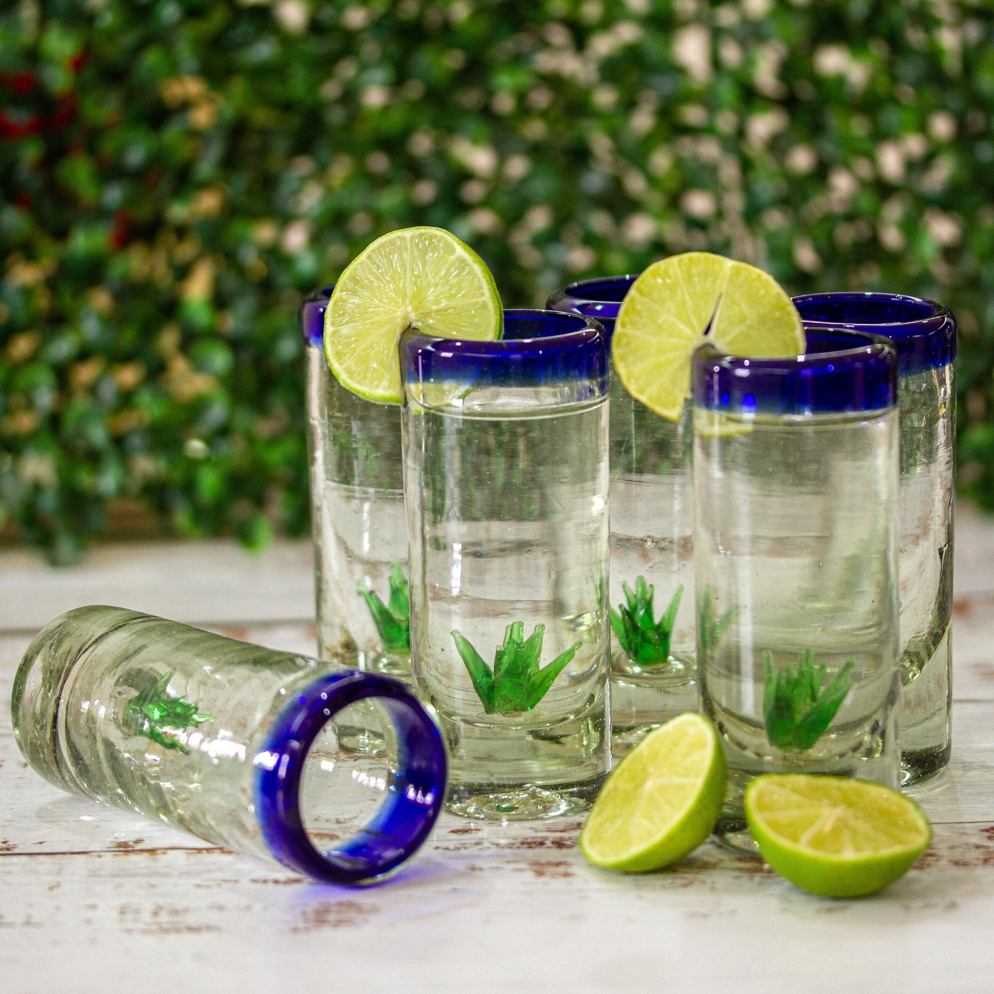 Hand Blown Tequila Glasses with Agave Set of 6 Agave NOVICA