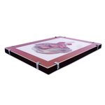 'Forever Marilyn' (2021) - Signed and Mounted Portrait of Marilyn Monroe from Mexico