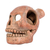 Ceramic whistle, 'Skull Sounds' - Molded and Painted Ceramic Skull Whistle from Mexico (image 2c) thumbail
