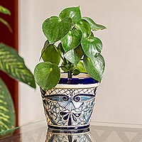 Featured review for Ceramic flower pot, Cobalt Garden (7.5 inch diameter)