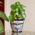 Ceramic flower pot, 'Cobalt Garden' (7.5 inch diameter) - Blue and Off-White Ceramic Flower Pot (7.5 Inch Diameter)
