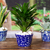 Ceramic flower pot, 'Puebla Petals' (6 inch) - Cobalt Talavera Style Flower Pot (6 Inch Diameter) thumbail