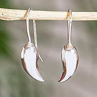 Sterling silver drop earrings, 'Delicate Drops' - Taxco Silver Drop Earrings