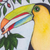 Aquatint print, 'In the Coffee Grove' - Limited Edition Toucan Print (image 2b) thumbail