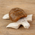 Marble sculpture, 'Nesting Turtle' - Brown and Beige Marble Sea Turtle Figure from Mexico (image 2) thumbail