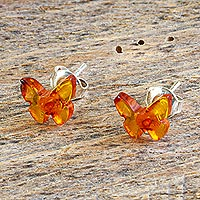 Amber stud earrings, 'Fluttering Honey' - Amber Stud Earrings with Sterling Silver Posts from Mexico