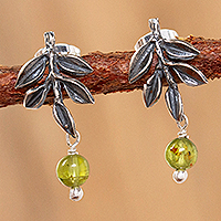 Peridot dangle earrings, 'Leafy Ferns' - Artisan Crafted Peridot Earrings