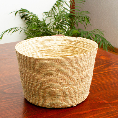 Natural fiber basket, 'Palm Paradise' - Handwoven Basket from Mexico