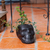 Jardinera de cerámica - Macetero calavera barro negro