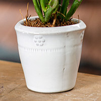 Small ceramic flower pot, 'Bright Blossoms' - Handcrafted Small White Ceramic Flower Pot from Mexico