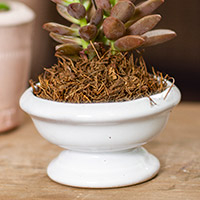 Small ceramic flower vase, 'Vintage Vision' - Handmade Small Ceramic Flower Vase in White from Mexico