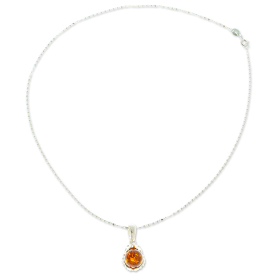 Amber pendant necklace, 'Sweet Porcupine Treasure' - 925 Sterling Silver and Amber Pendant Necklace from Mexico